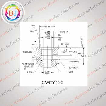 Check Valve~CV-10-B-0.3