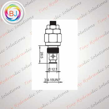 Relief Valve~RV-08-N-23_[200]